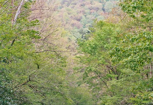 Fishing Deep Creek