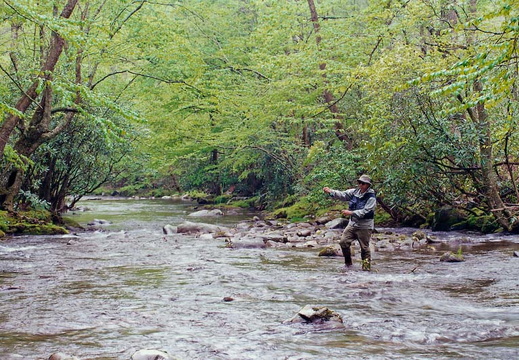 Fly fishing technique demonstration