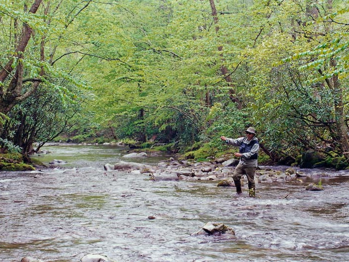 Fly fishing technique demonstration