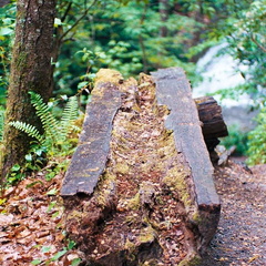 Indian Creek Trail Rest