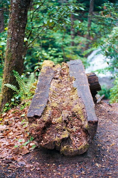 Indian Creek Trail Rest