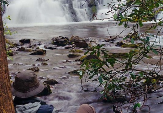 Relection, Indian Creek Falls