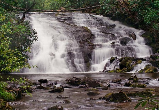 May 2-3: Deep Creek & Bradley Fork, Great Smoky Mountains