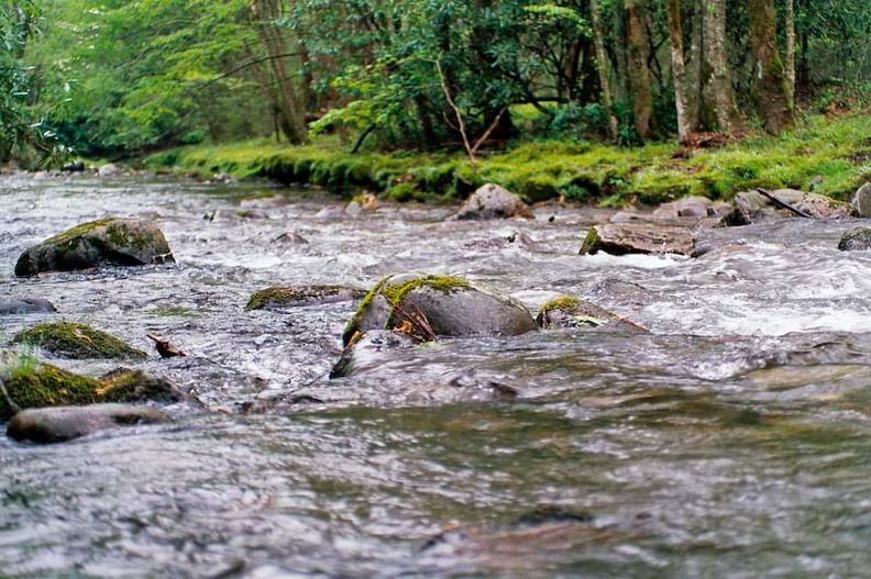 Bradley Fork