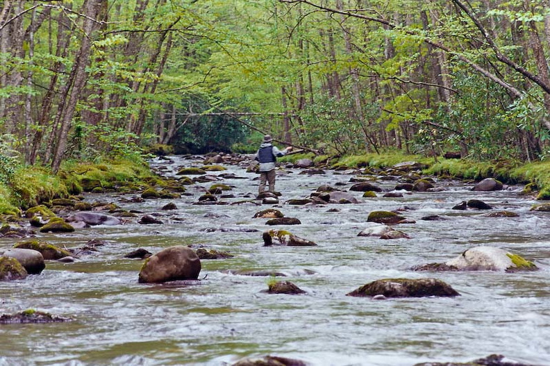 Fishing Bradley Fork