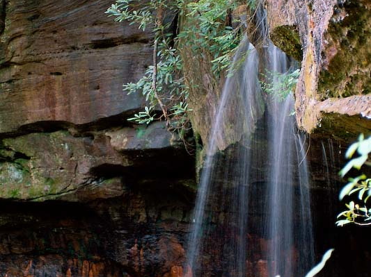 Pooch's Turtle Falls and rust leaching from rock walls