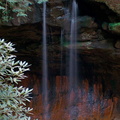 Pooch's Turtle Falls from creek bank