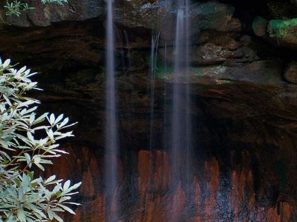 Pooch's Turtle Falls from creek bank