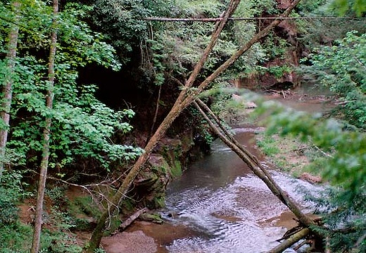 Overlook to creek