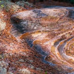 Trail margin in sunset