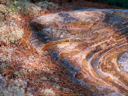 Trail margin in sunset