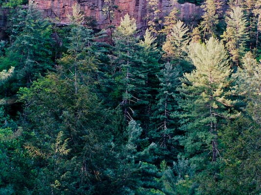 Across small valley to overhanging cliff