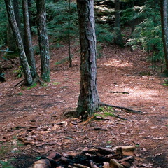 Camp along trail