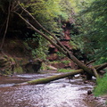 Stream side