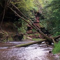 Stream side