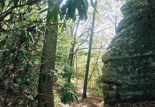 Sep 19: Furnace Arch, Cave Run Lake