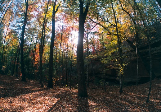 Oct 24: Hanson's Point & Sky Bridge, Red River Gorge