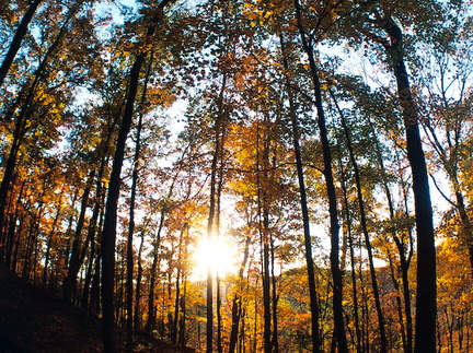 Trail Scene with Setting Sun