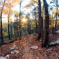 Switchback in Limestone