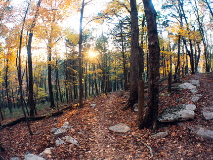 Switchback in Limestone