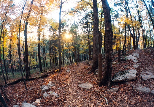 Switchback in Limestone