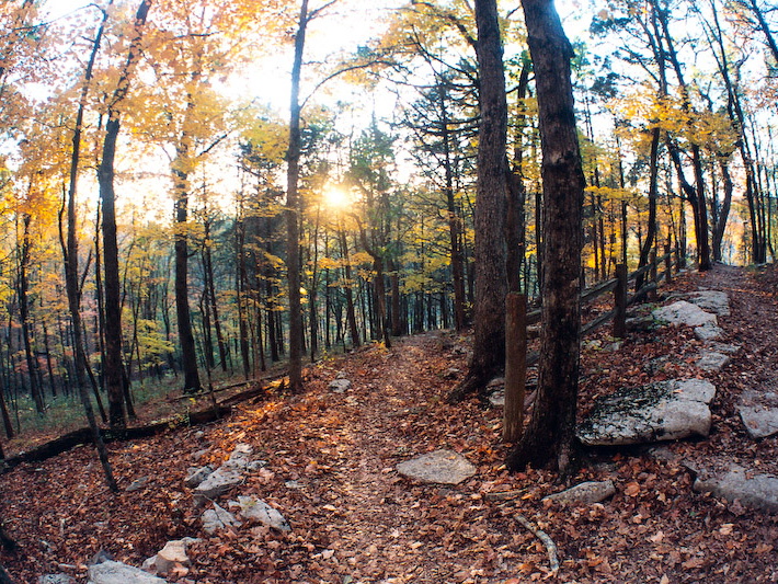 Switchback in Limestone