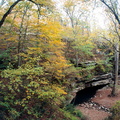 Cave Entrance with Spring