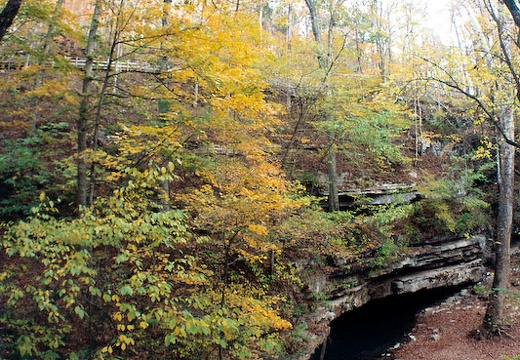 Cave Entrance with Spring