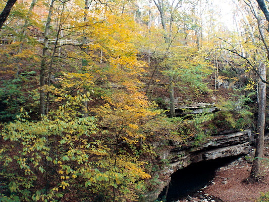 Cave Entrance with Spring