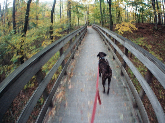 Pixel on Observation Deck