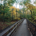 Boardwalk in Dimming Fall Light