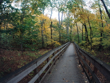 Boardwalk in Dimming Fall Light