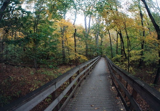 Boardwalk in Dimming Fall Light