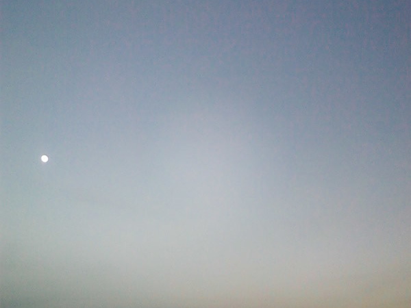 BsPhone2064