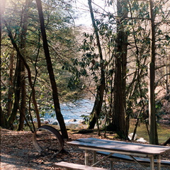 Tent Site overlooking Little River