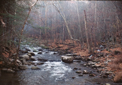 Nov 24-29: Elkmont, Great Smoky Mountains National Park