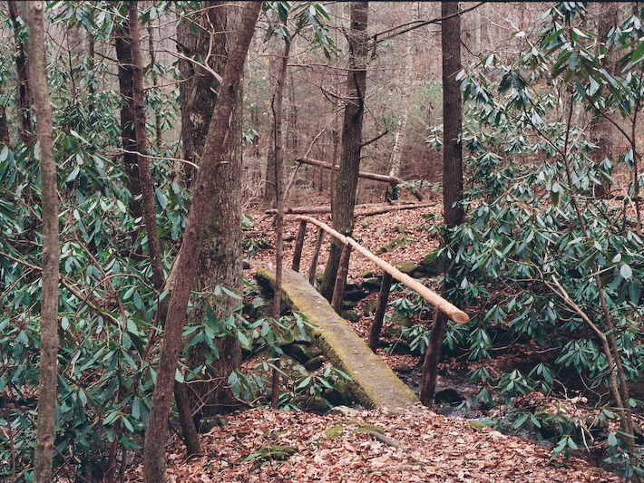 Footbridge on Meigs Mountain Trail