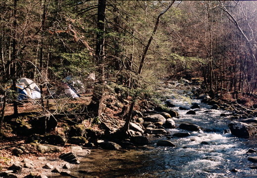 Little River with Campers
