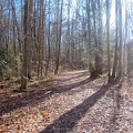 Trail on Little River