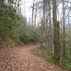 Jakes Creek Trail