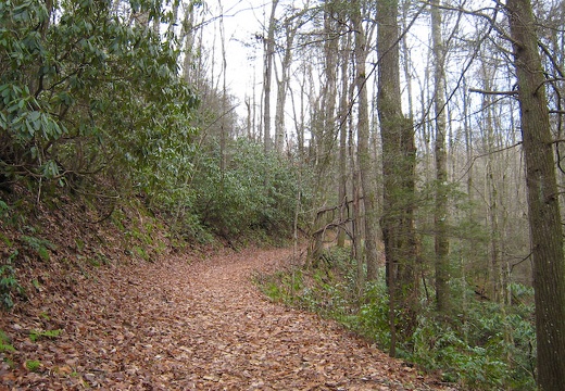 Jakes Creek Trail