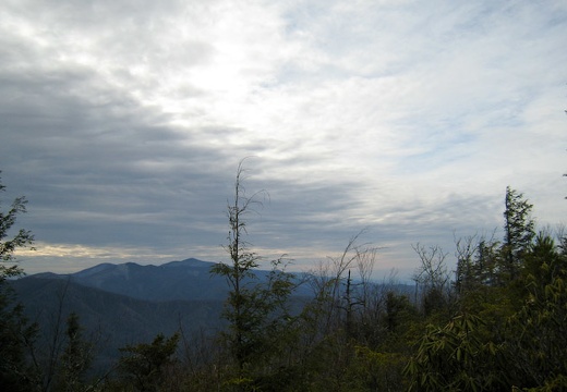 Miry Ridge Trail