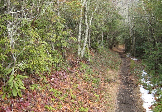 Miry Ridge Trail, below Dripping Spring Mountain