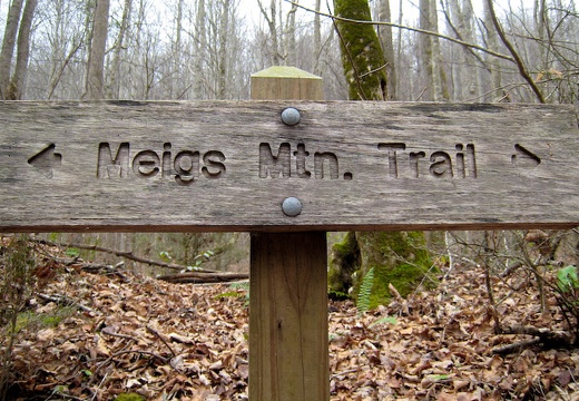 Meigs Mountain Trail