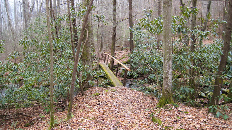 Meigs Mountain Trail