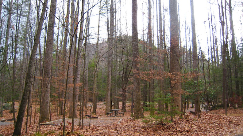 Last Day of Season Lonely