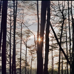 Sunset with clearing skies