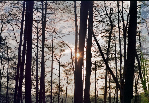 Sunset with clearing skies