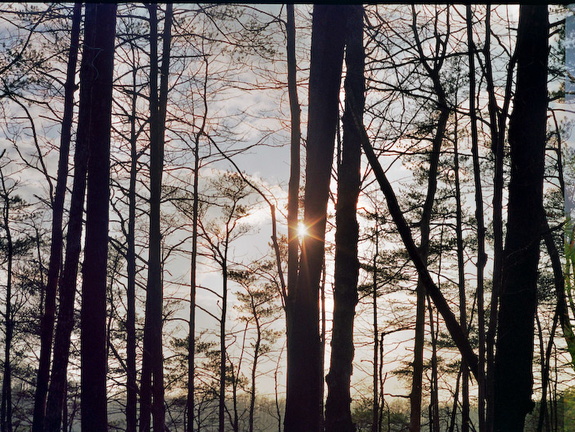 Sunset with clearing skies