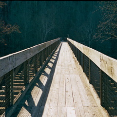 Blue Heron foot bridge